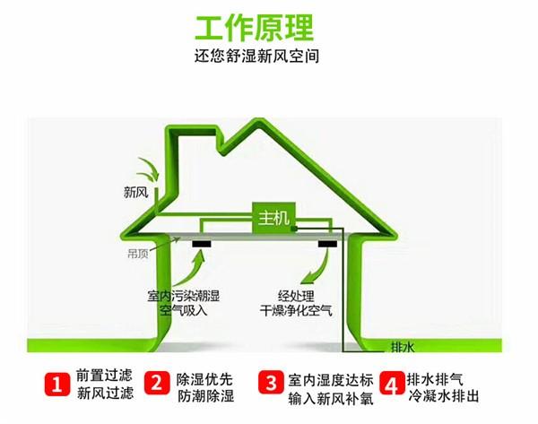 新風除濕系統